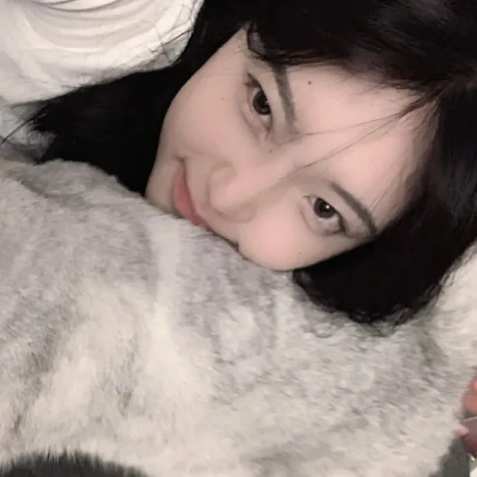 容易受伤的玫瑰